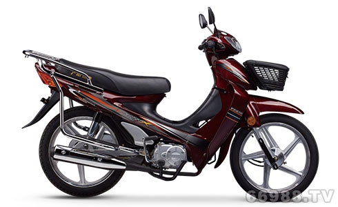 飛肯FK110-3A未來(lái)之星摩托車(chē)